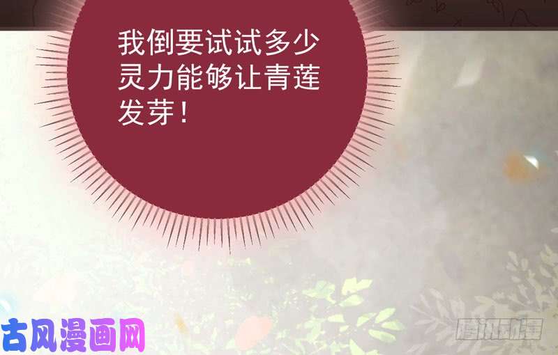 鬼医凤九混沌青莲