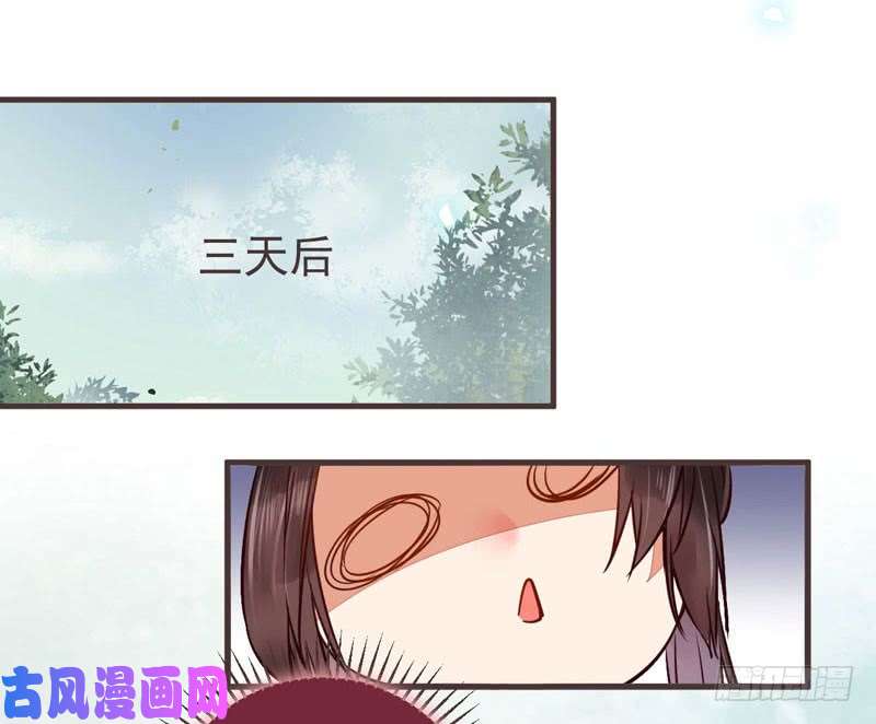 鬼医凤九混沌青莲