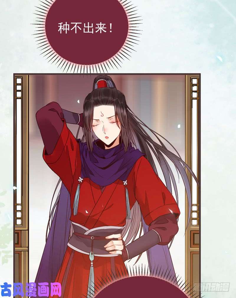 鬼医凤九混沌青莲