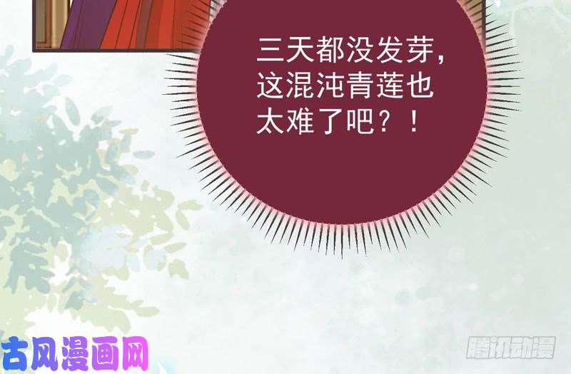 鬼医凤九混沌青莲