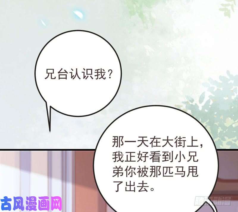 鬼医凤九混沌青莲