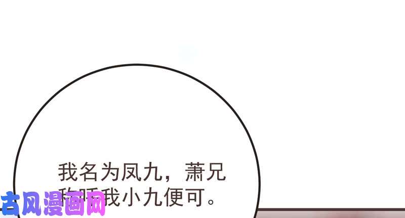 鬼医凤九混沌青莲