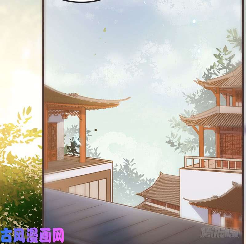 鬼医凤九混沌青莲