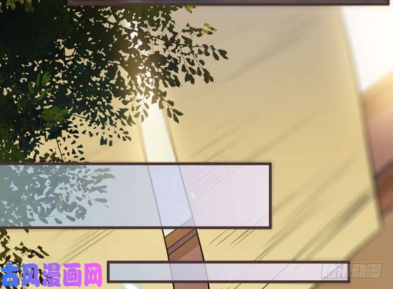 鬼医凤九混沌青莲