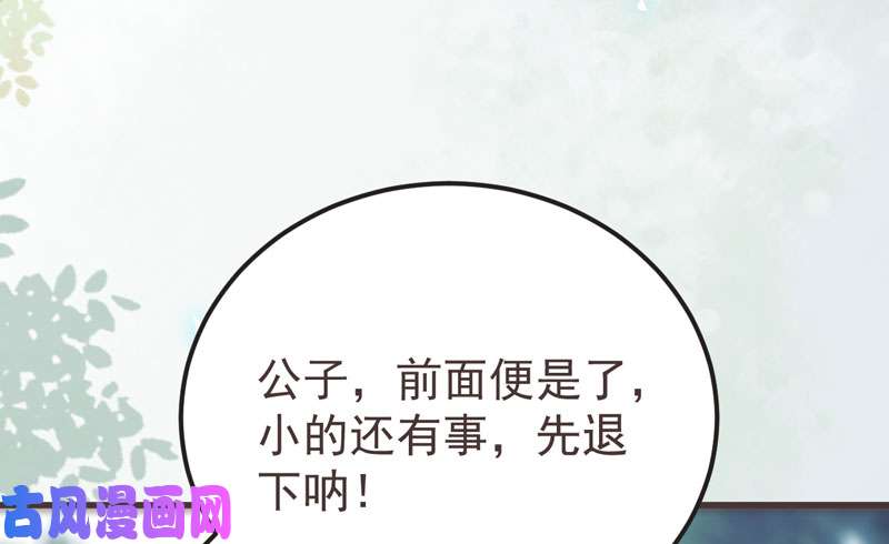 鬼医凤九混沌青莲