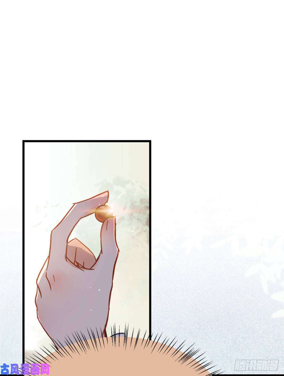 鬼医凤九真言丹