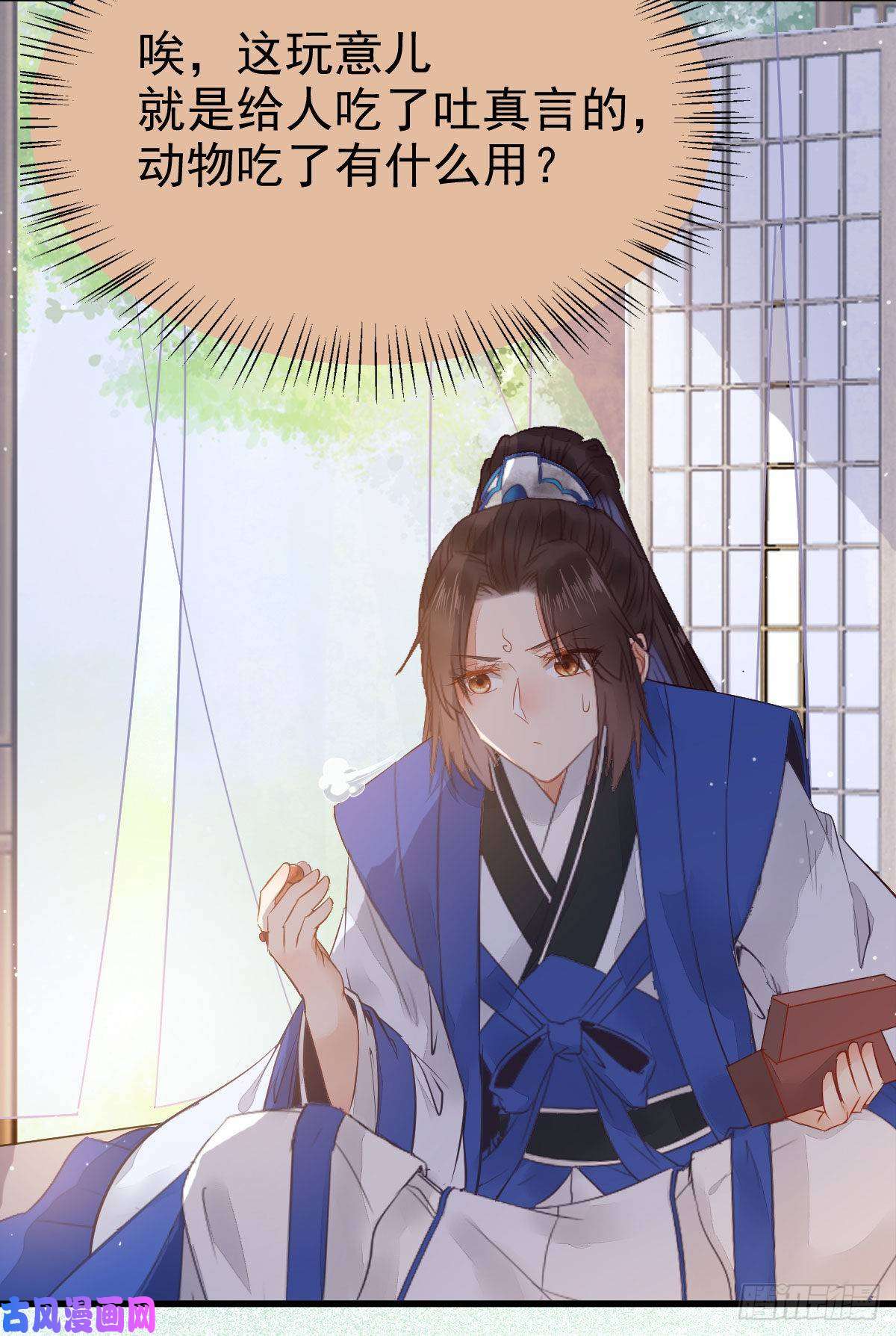 鬼医凤九真言丹