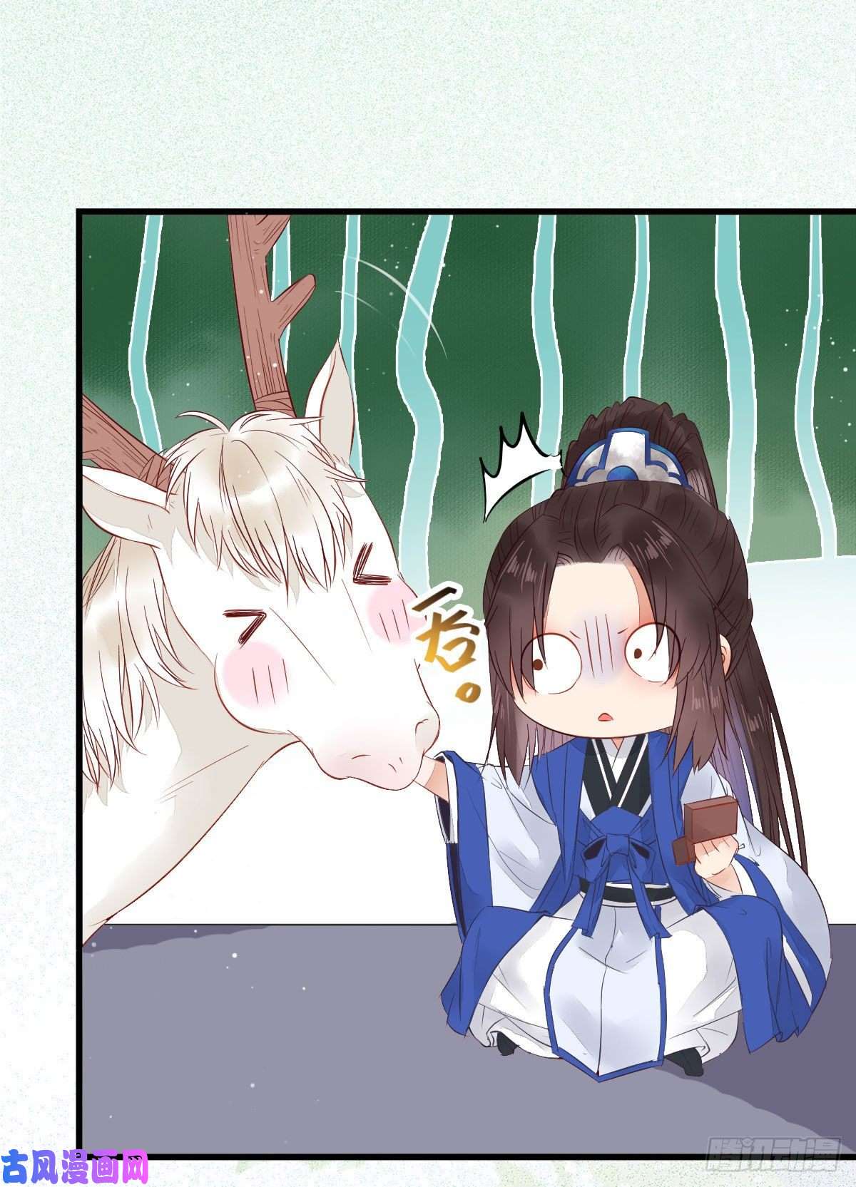 鬼医凤九真言丹