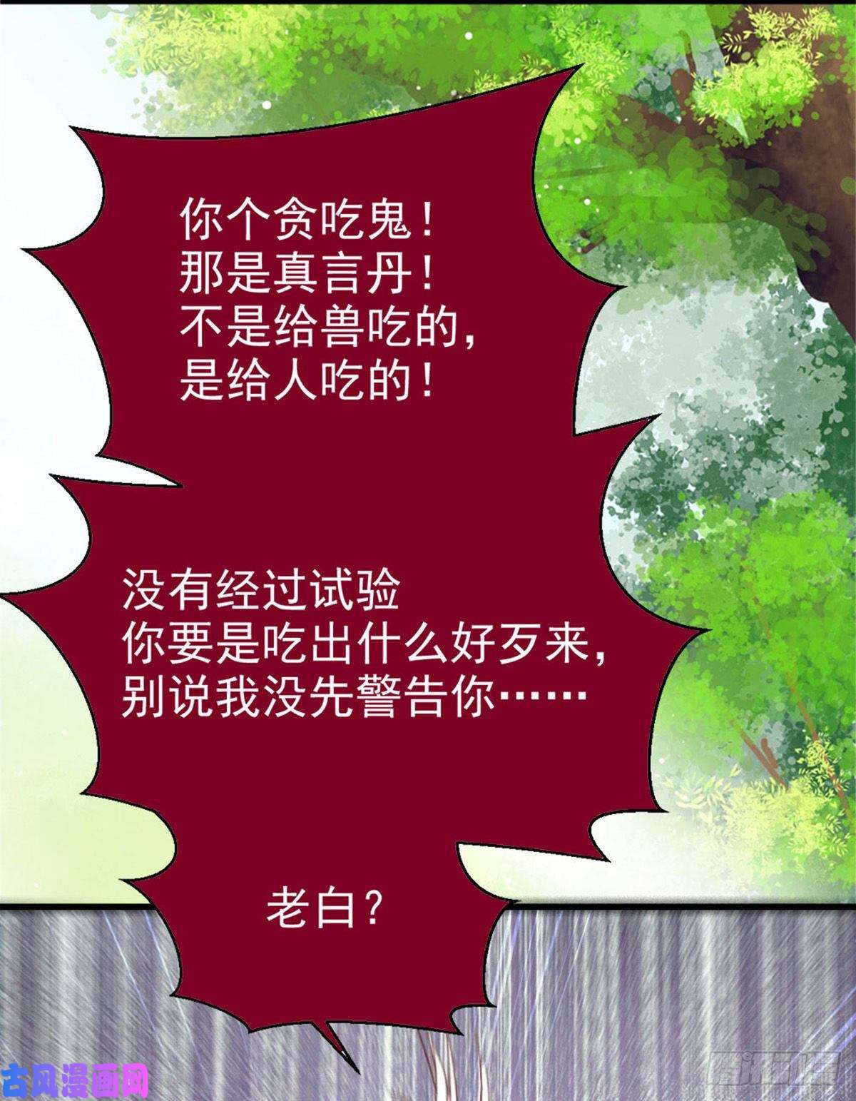 鬼医凤九真言丹