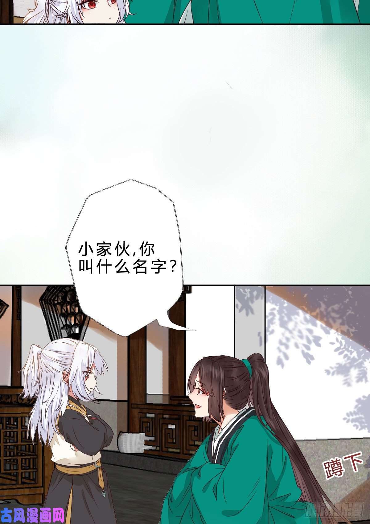 鬼医凤九他是我儿子！