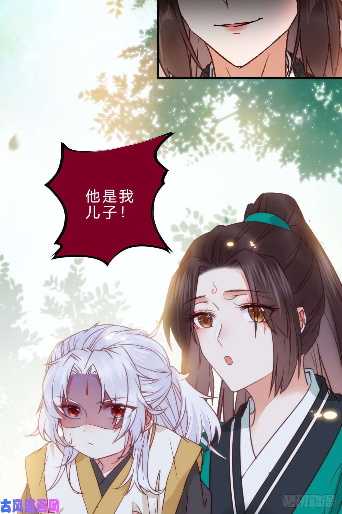 鬼医凤九他是我儿子！
