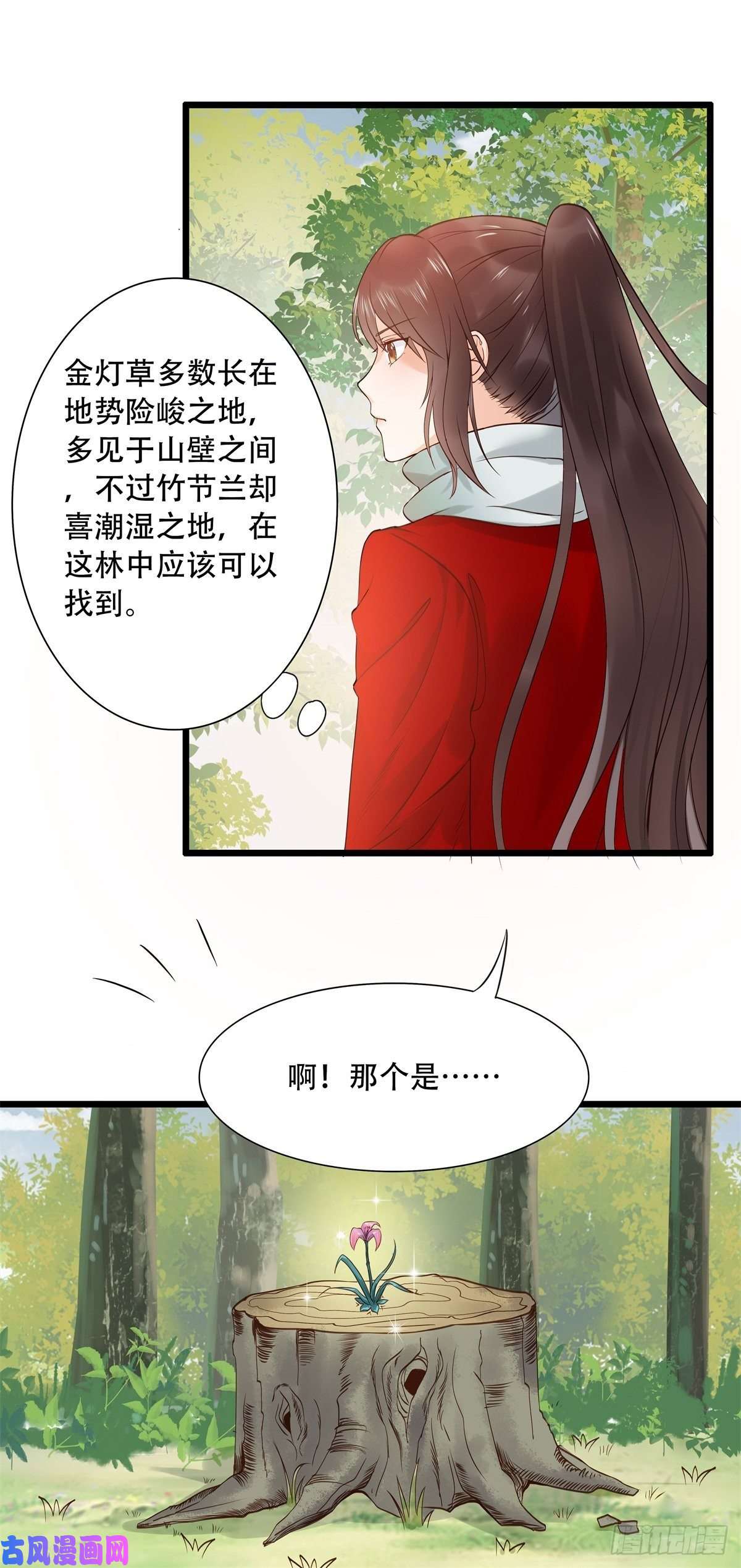 鬼医凤九胖老白