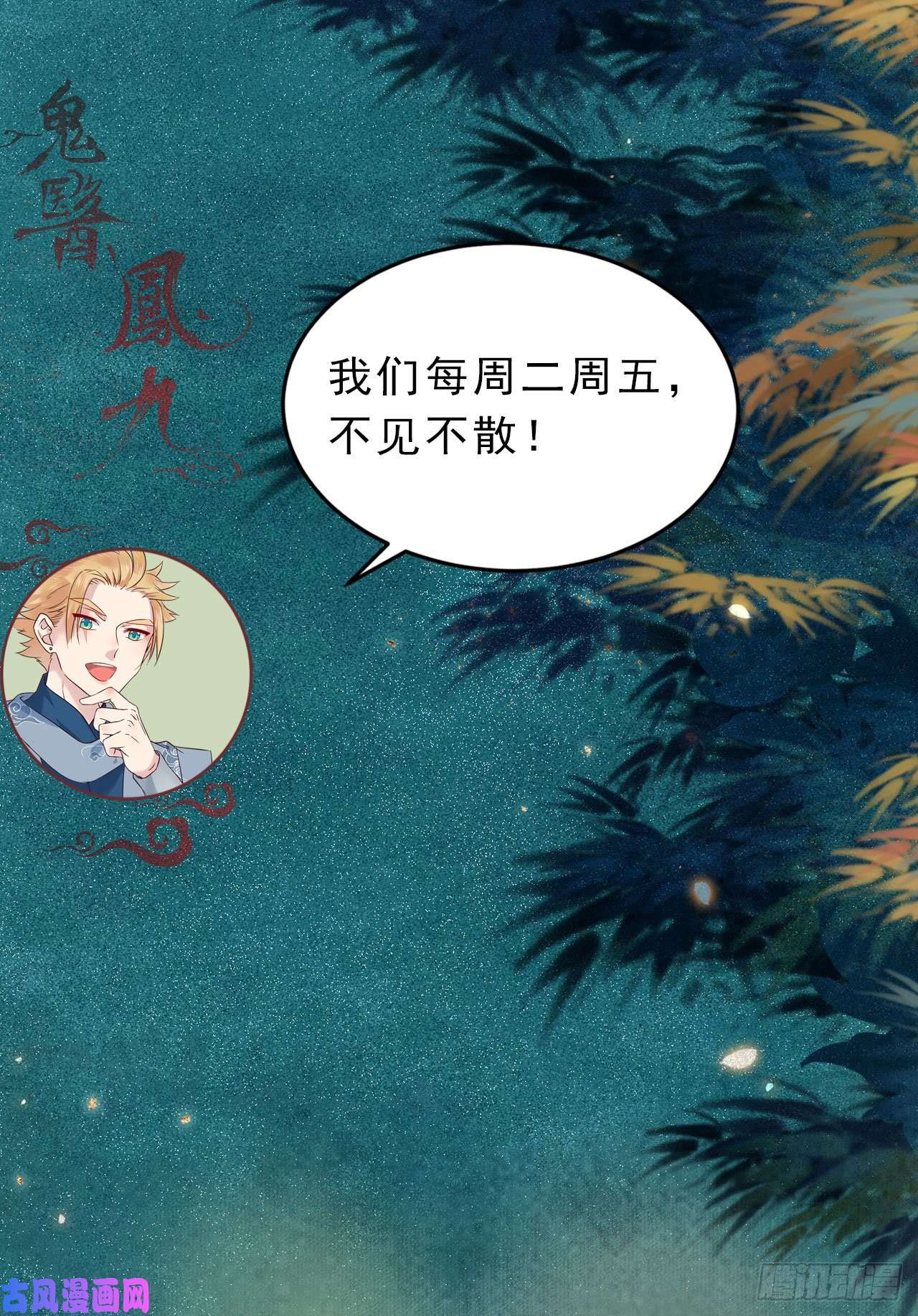 鬼医凤九胖老白