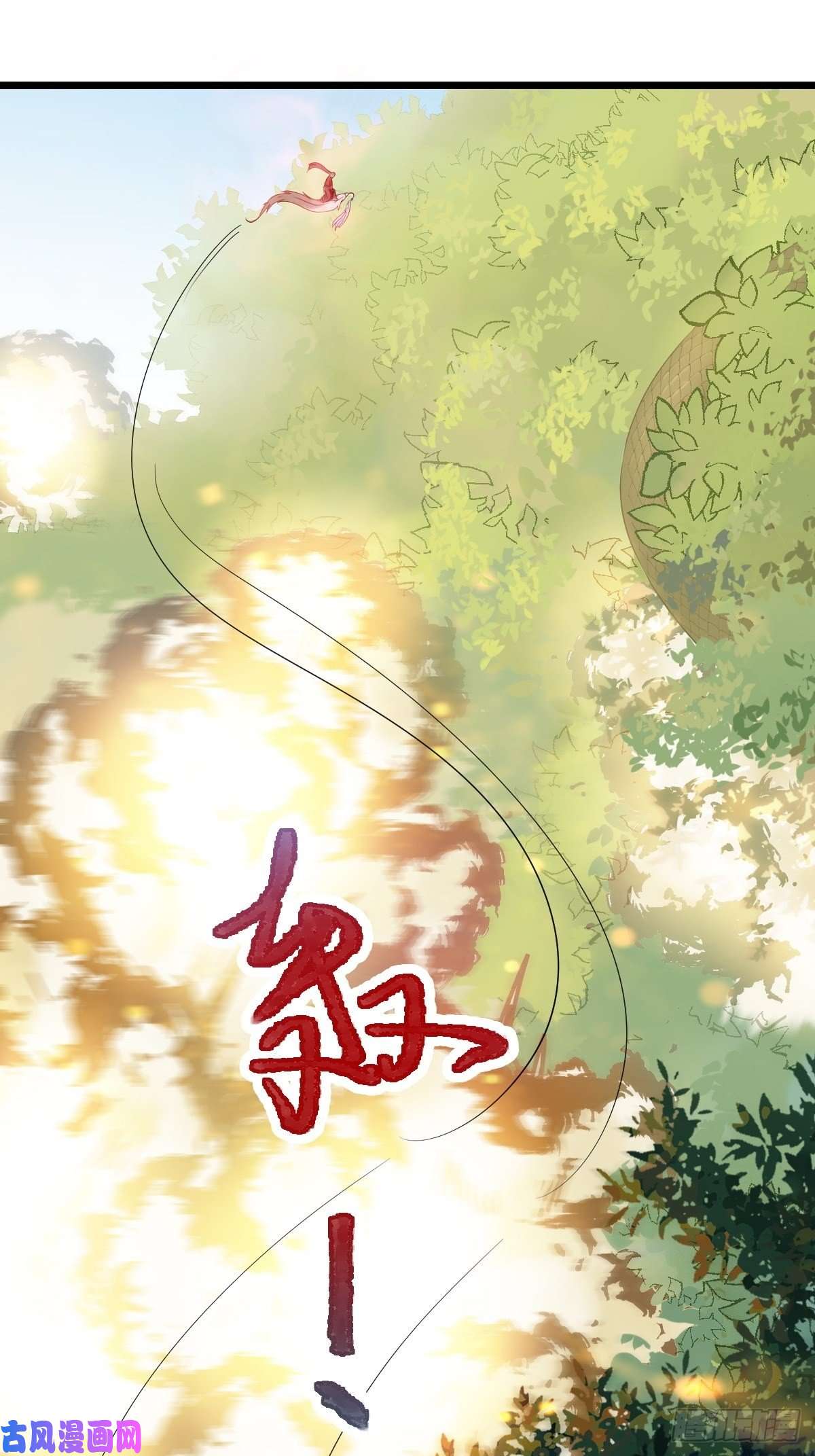 鬼医凤九战鹰