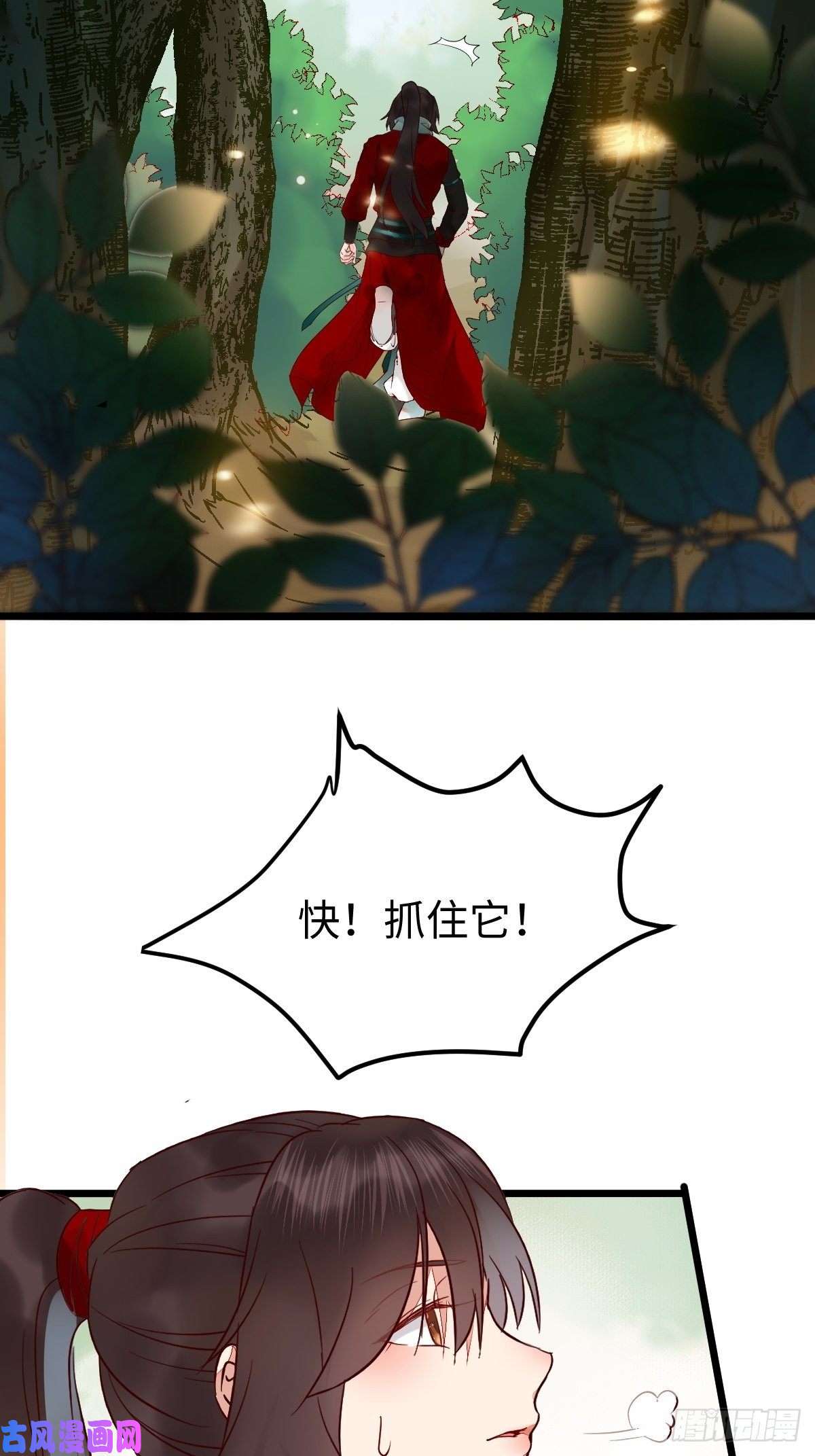 鬼医凤九战鹰