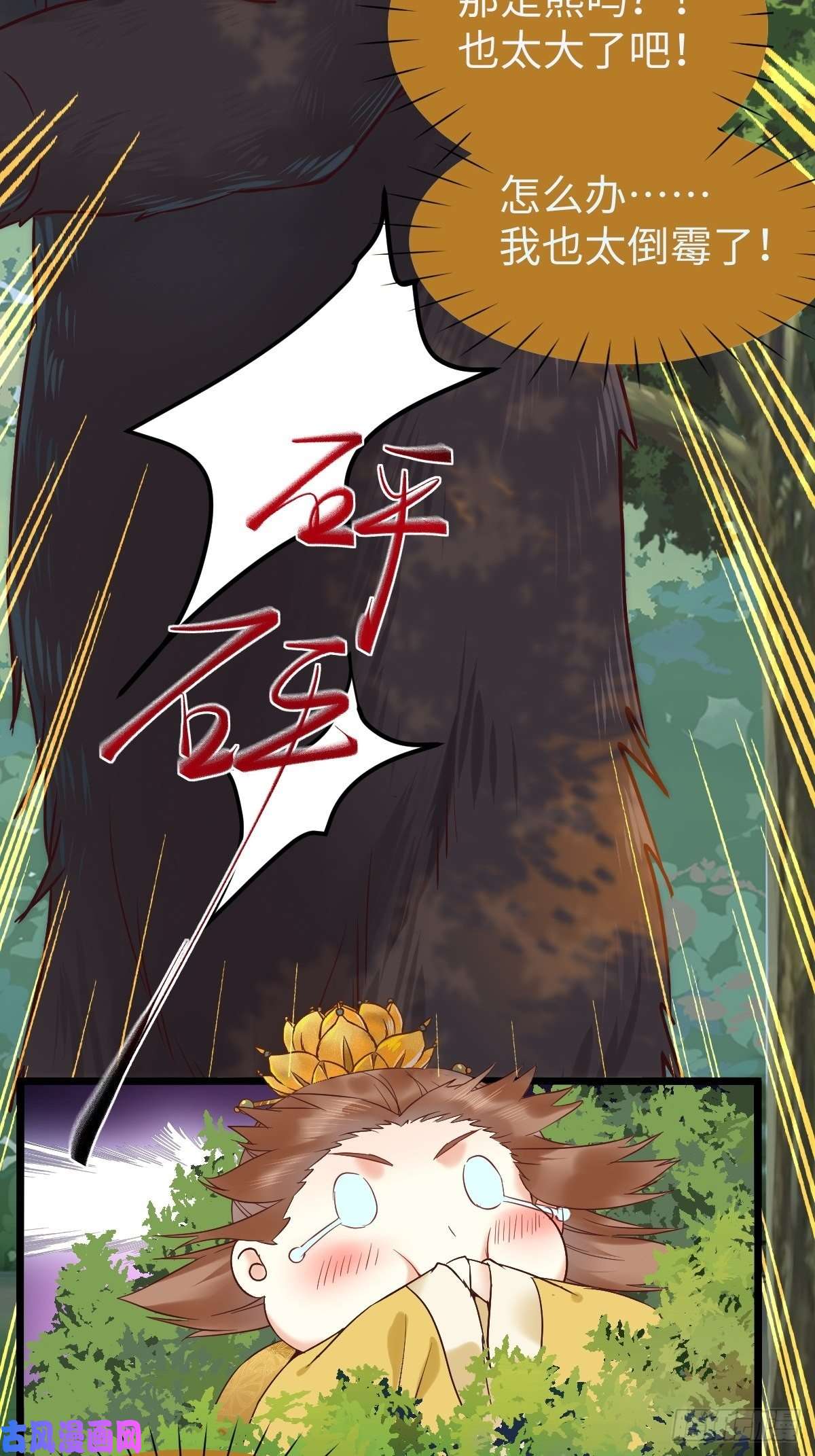 鬼医凤九遇虎又遇熊