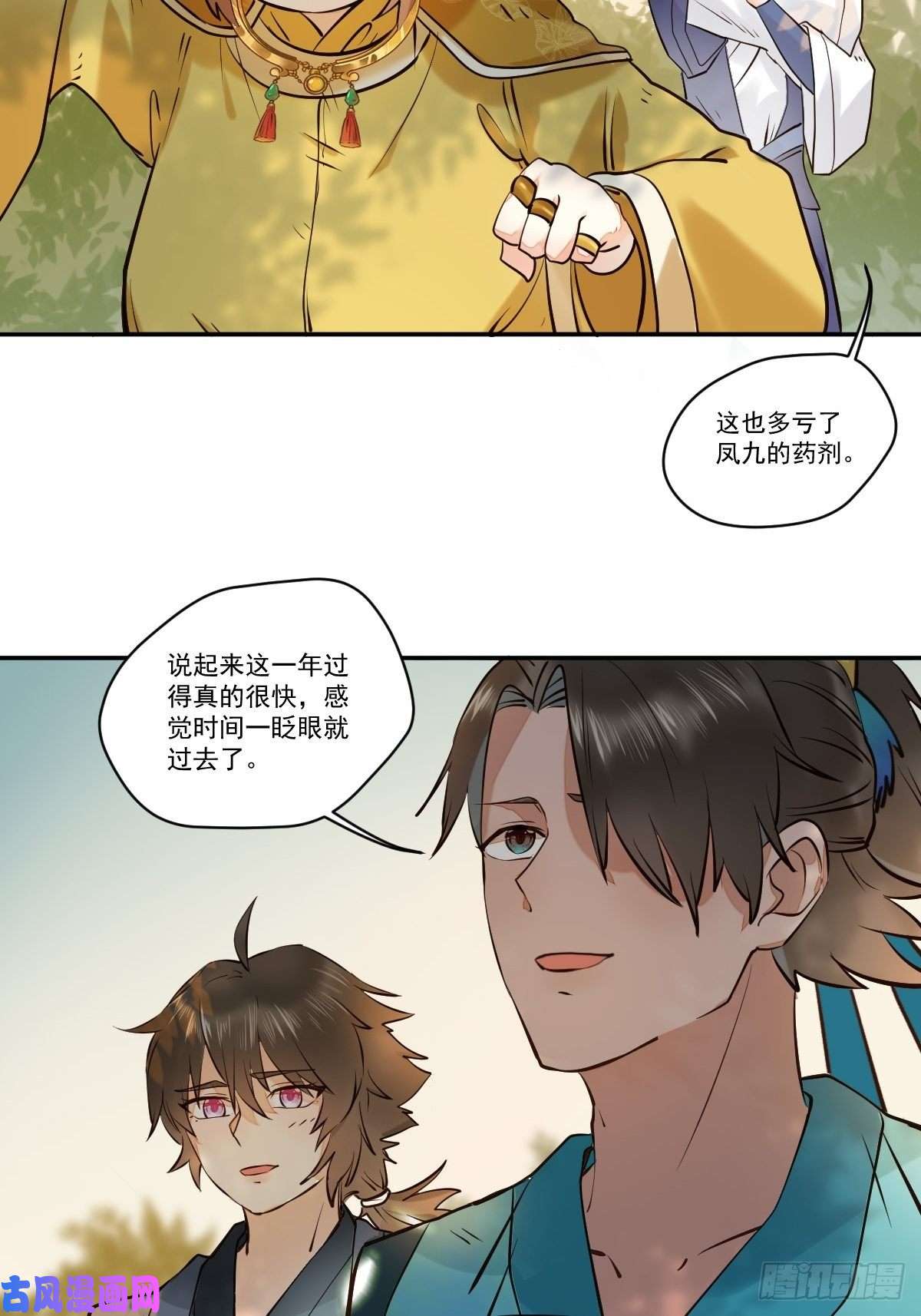 鬼医凤九保护凤九！