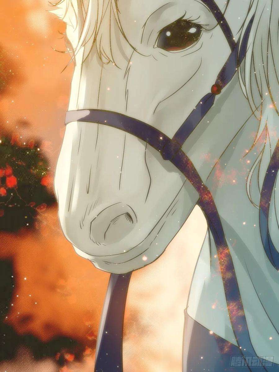 鬼医凤九随他们去吧