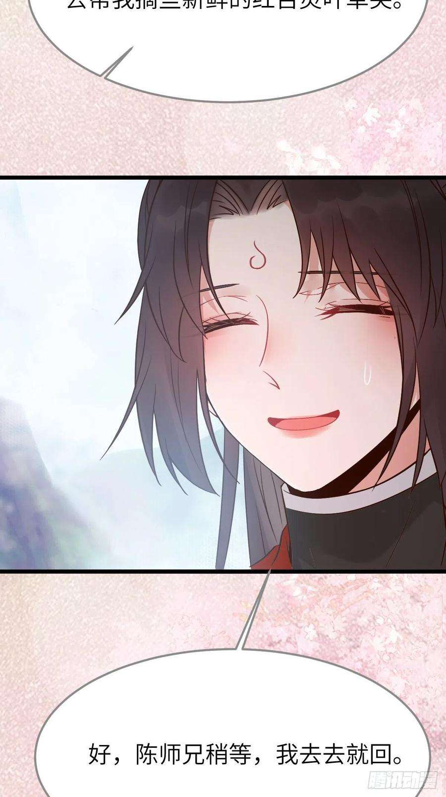 鬼医凤九是娘亲吗？