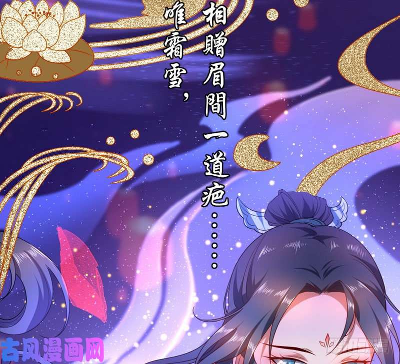 我为邪帝论抖音神曲和整容大法的妙用