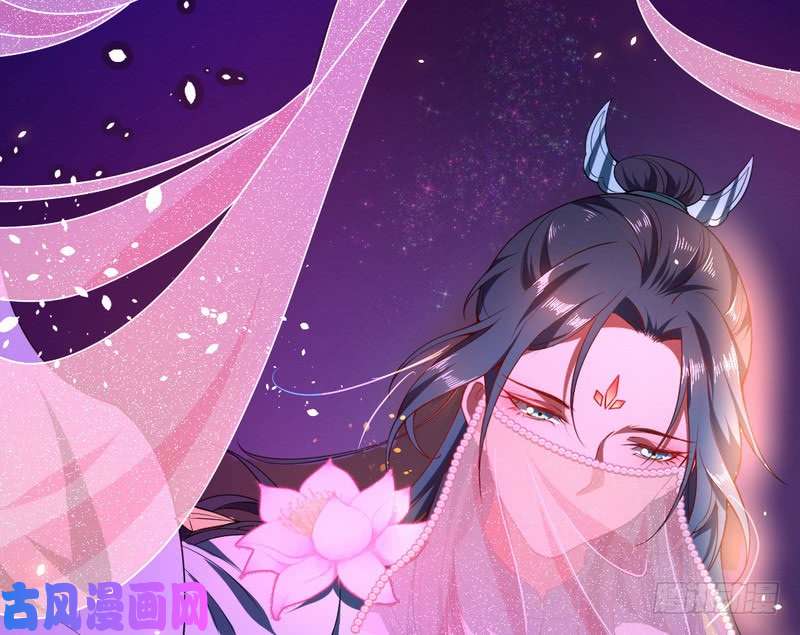我为邪帝论抖音神曲和整容大法的妙用