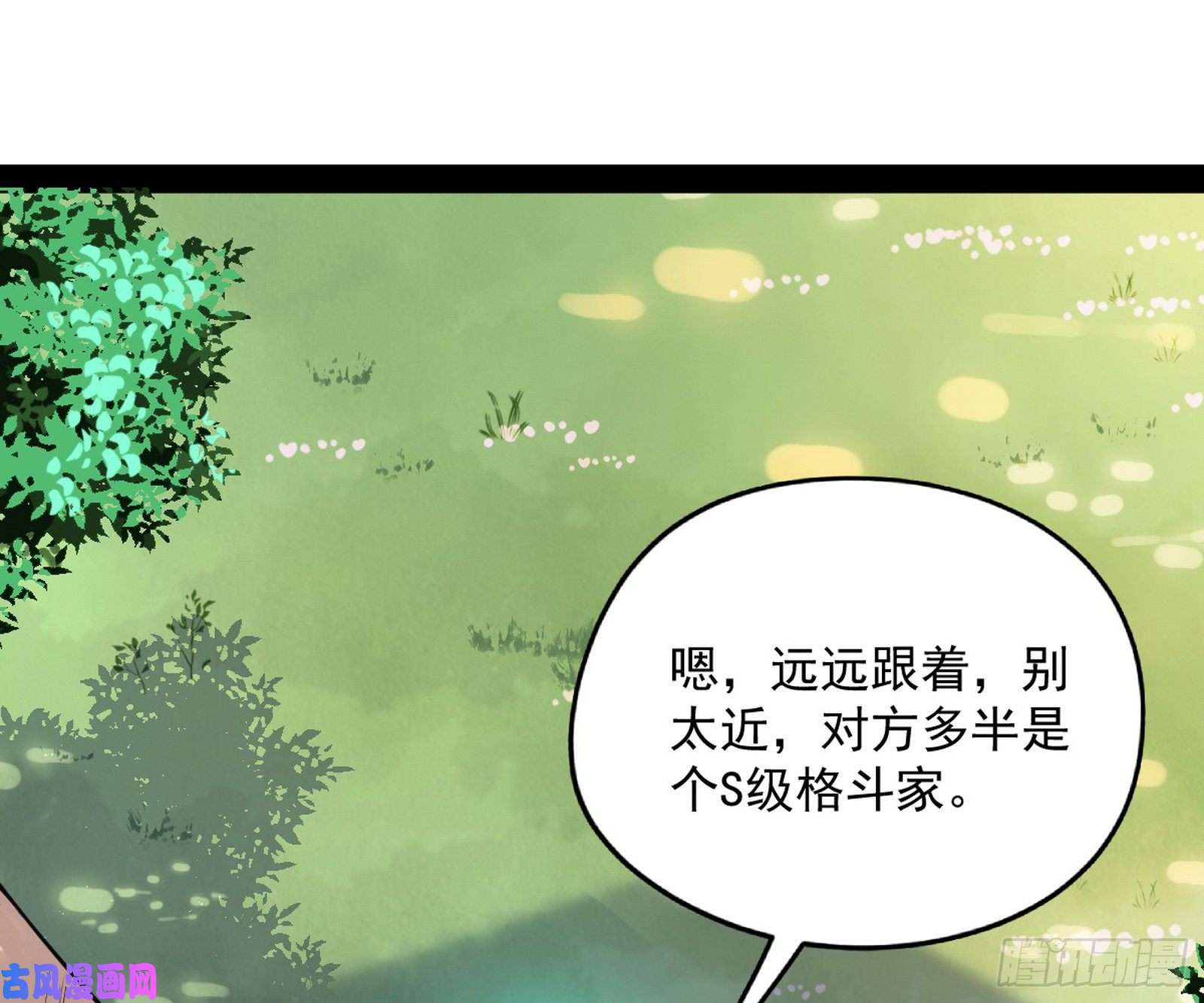 我为邪帝神秘的S级格斗家