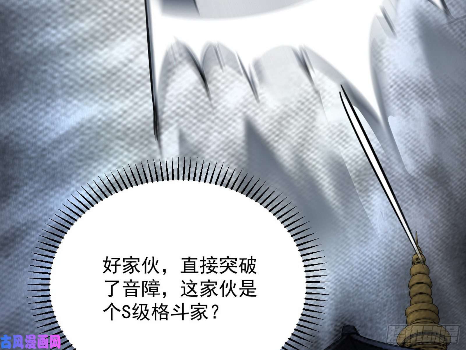 我为邪帝神秘的S级格斗家