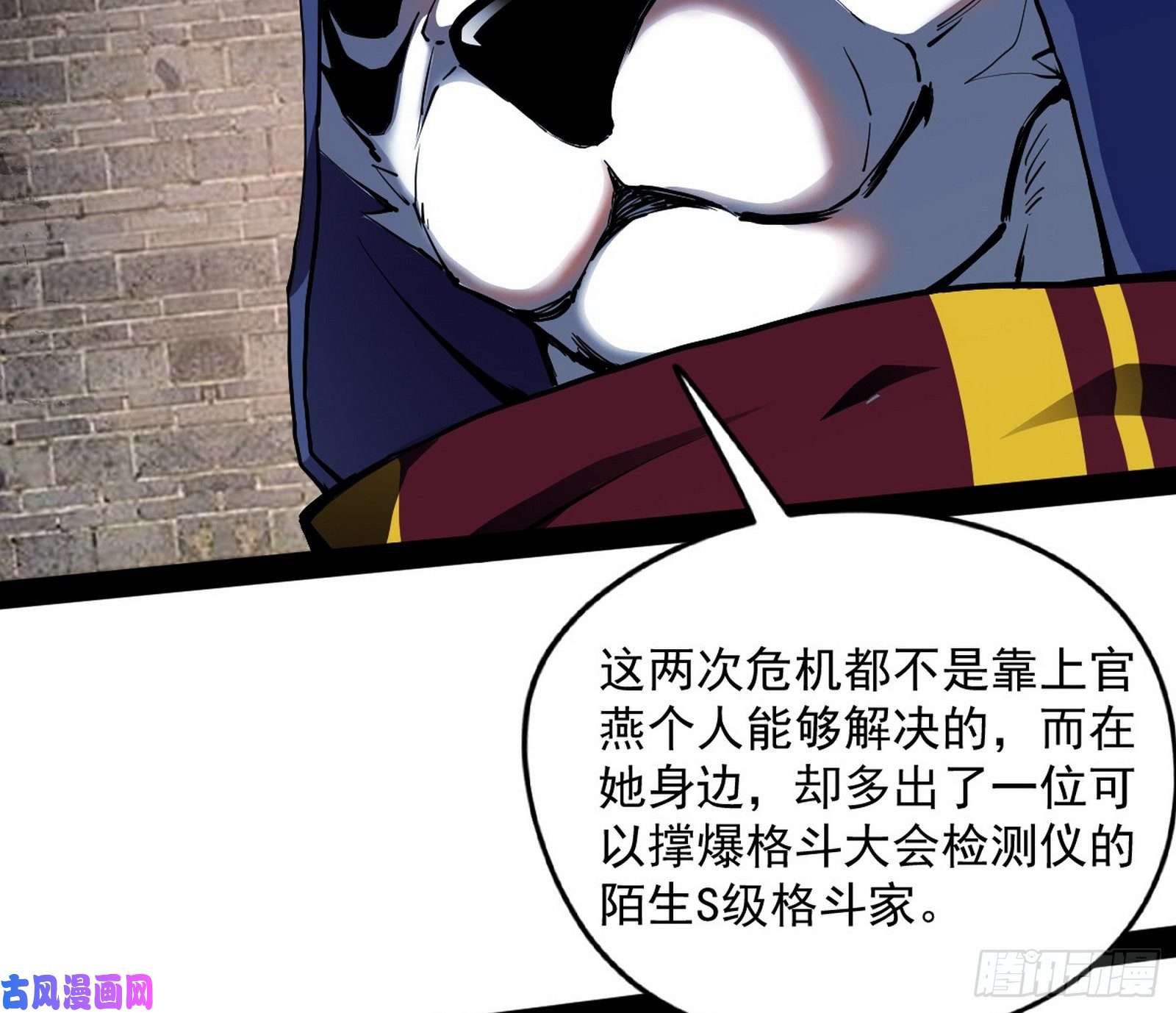 我为邪帝神秘的S级格斗家