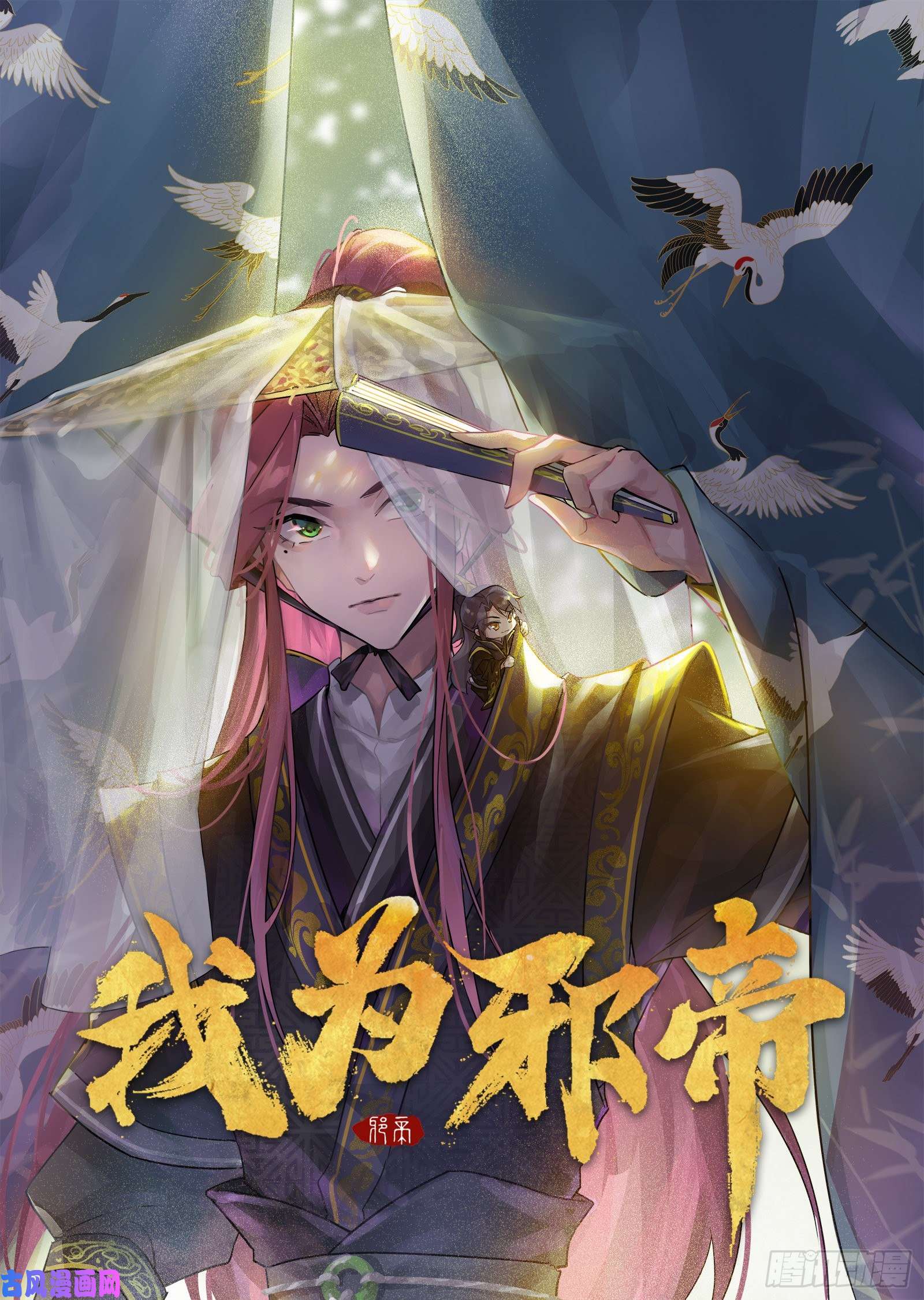 我为邪帝妖女的顾虑