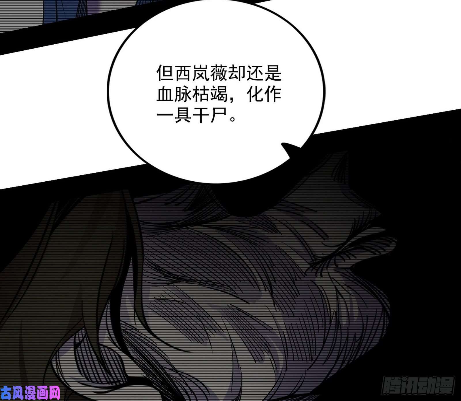 我为邪帝西岚宝库