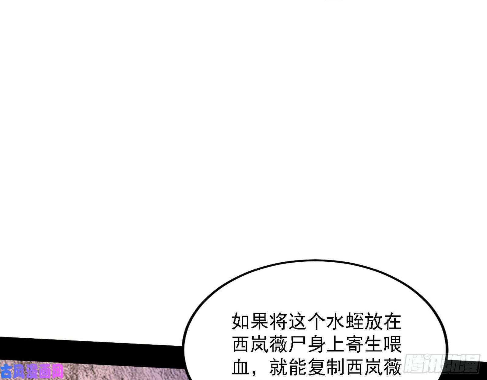 我为邪帝西岚宝库