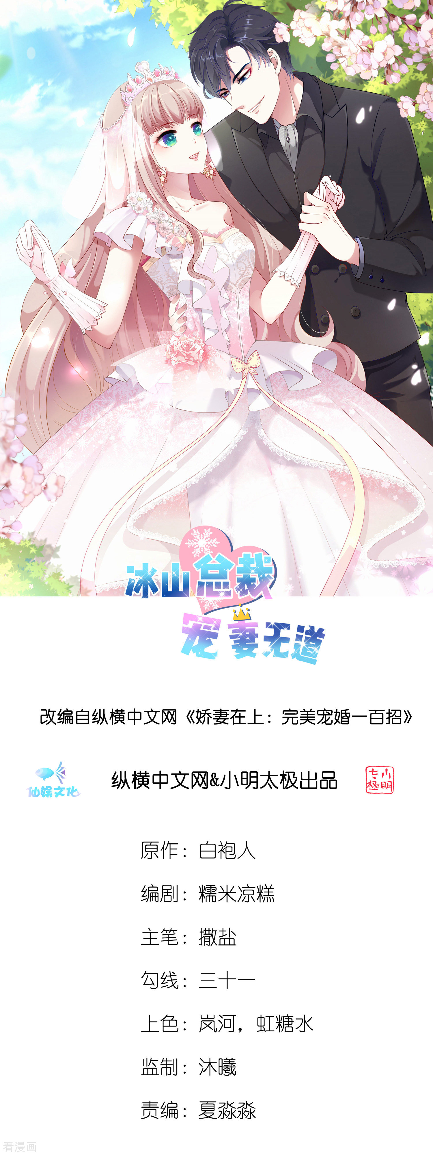 冰山总裁宠妻无道17话