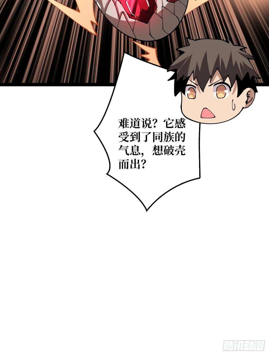 开局就有王者账号蛋蛋的躁动
