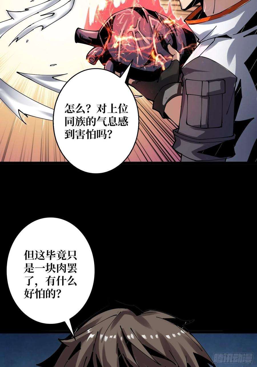 开局就有王者账号赤红彗星