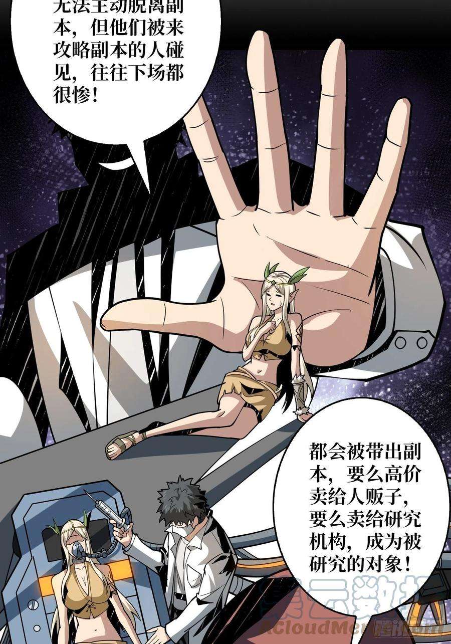 开局就有王者账号猫与谜之少女