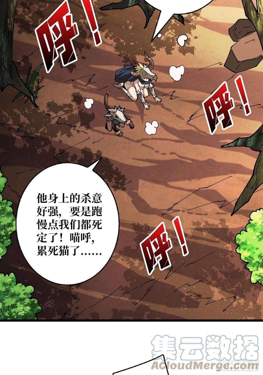 开局就有王者账号猫与谜之少女