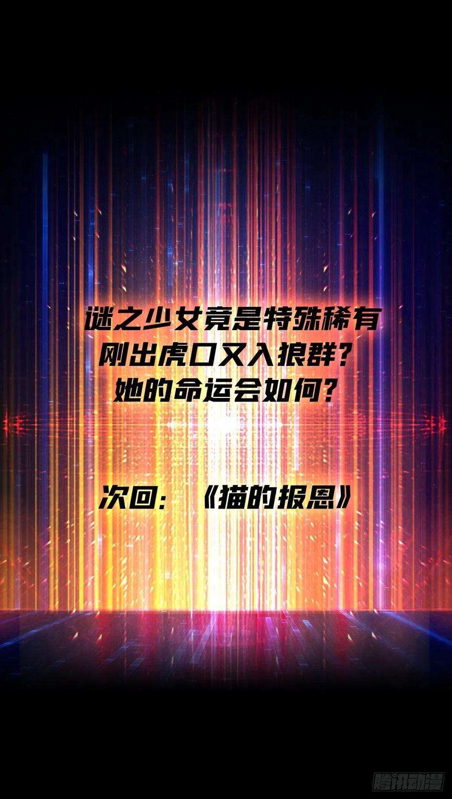 开局就有王者账号猫与谜之少女
