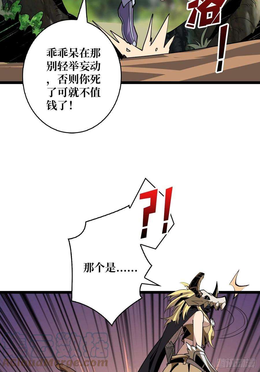 开局就有王者账号猫的报恩