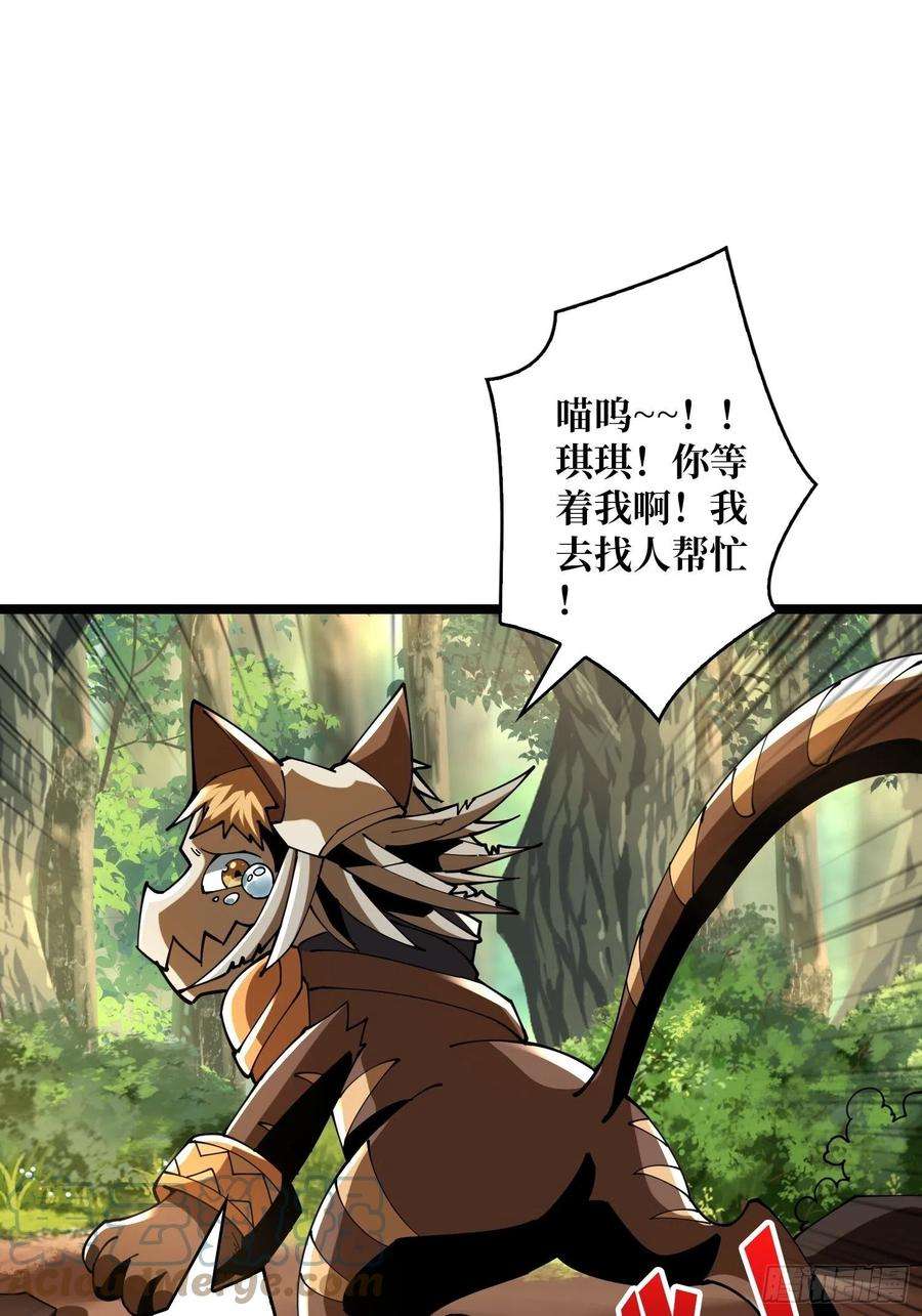 开局就有王者账号猫的报恩