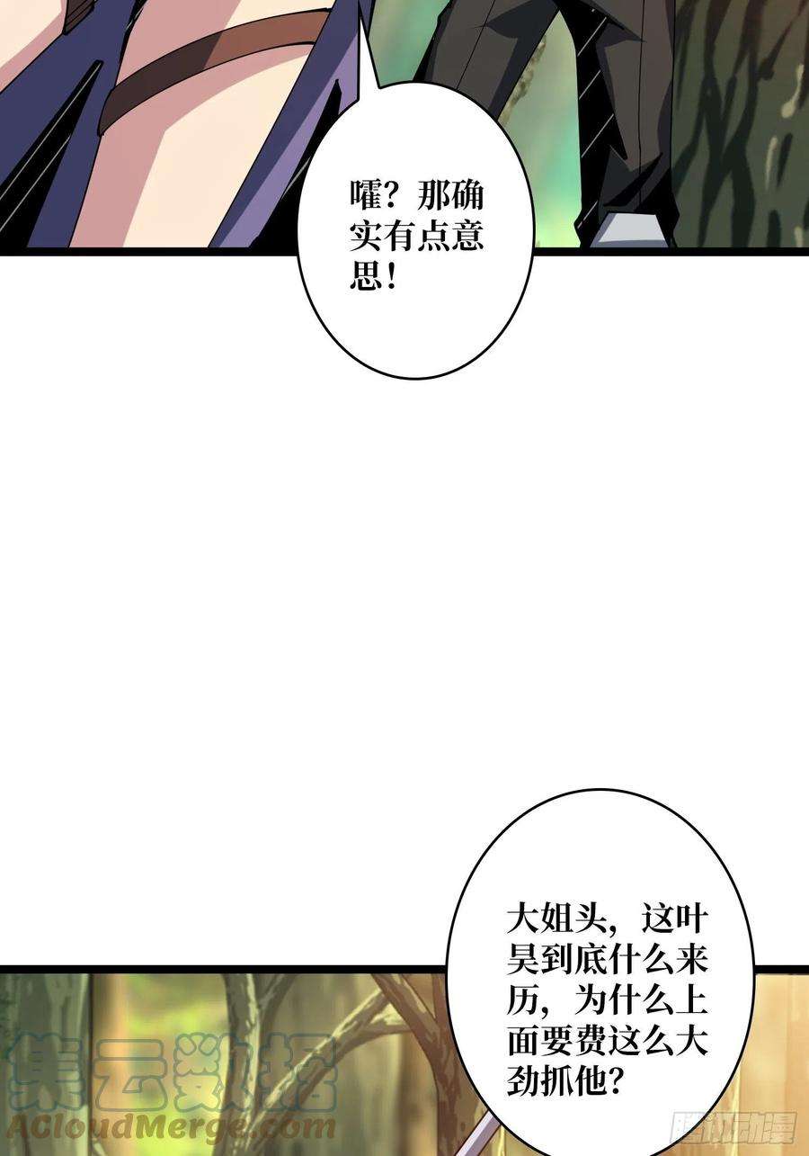 开局就有王者账号猫的报恩