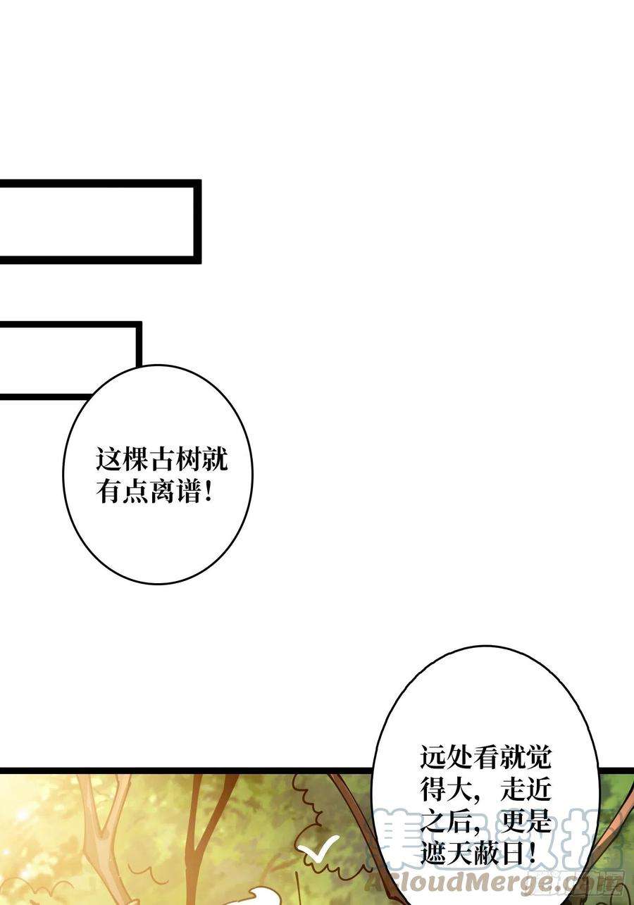 开局就有王者账号猫的报恩