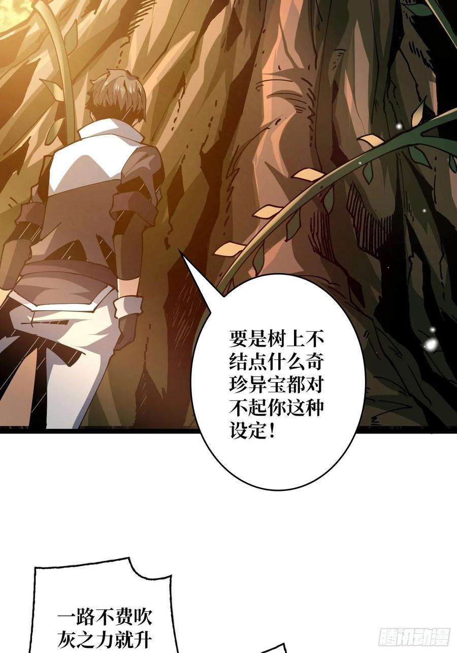 开局就有王者账号猫的报恩