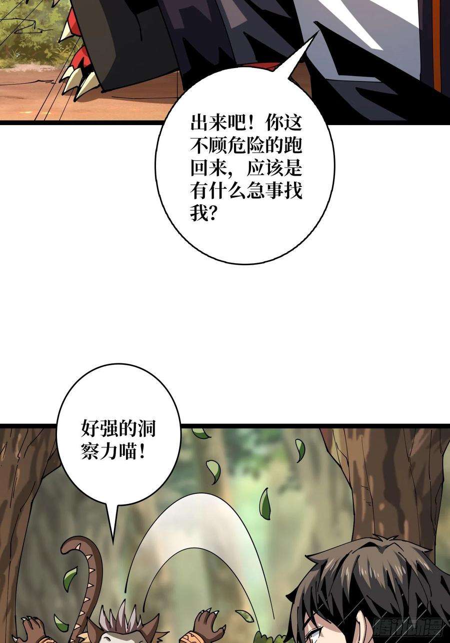 开局就有王者账号猫的报恩
