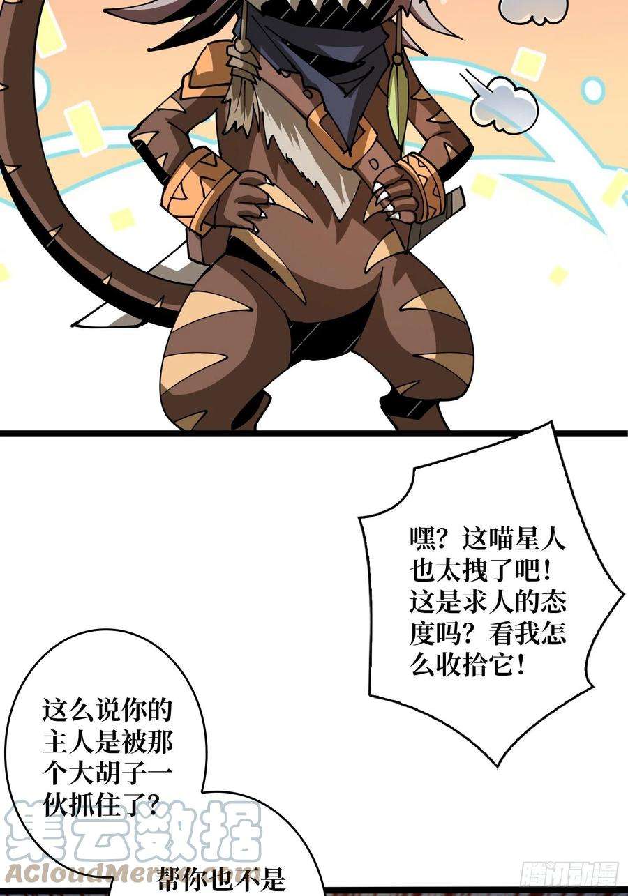 开局就有王者账号猫的报恩