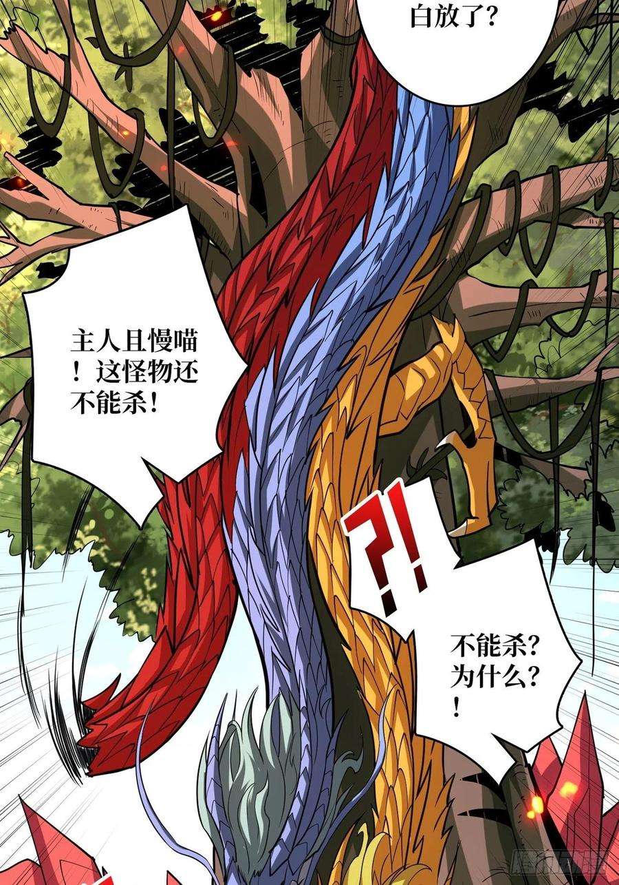 开局就有王者账号小可爱与大聪明