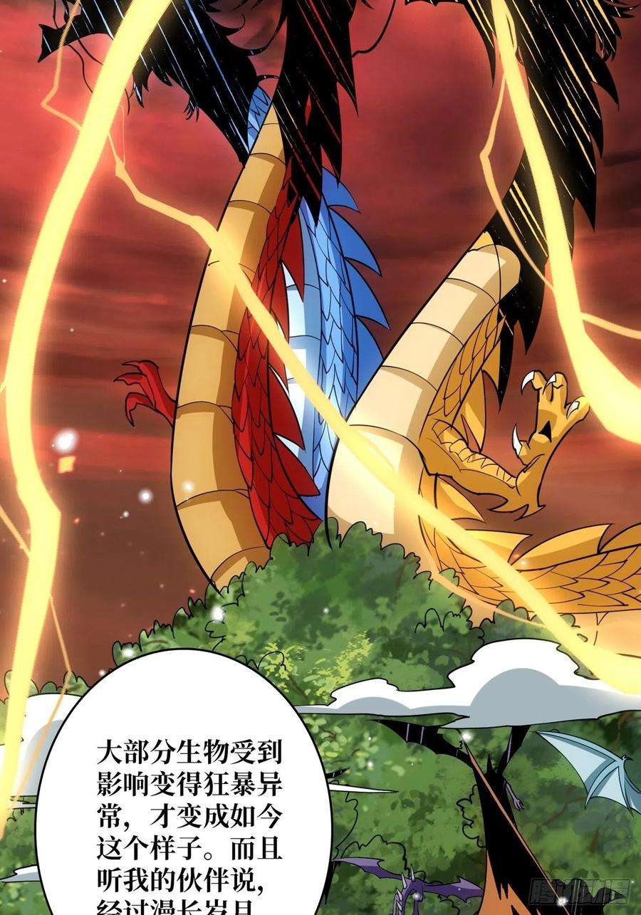 开局就有王者账号小可爱与大聪明