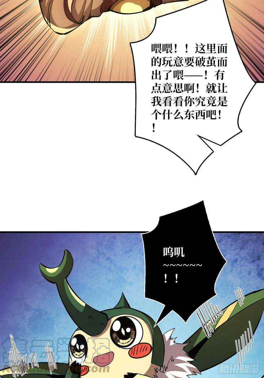 开局就有王者账号吐出一个小可爱