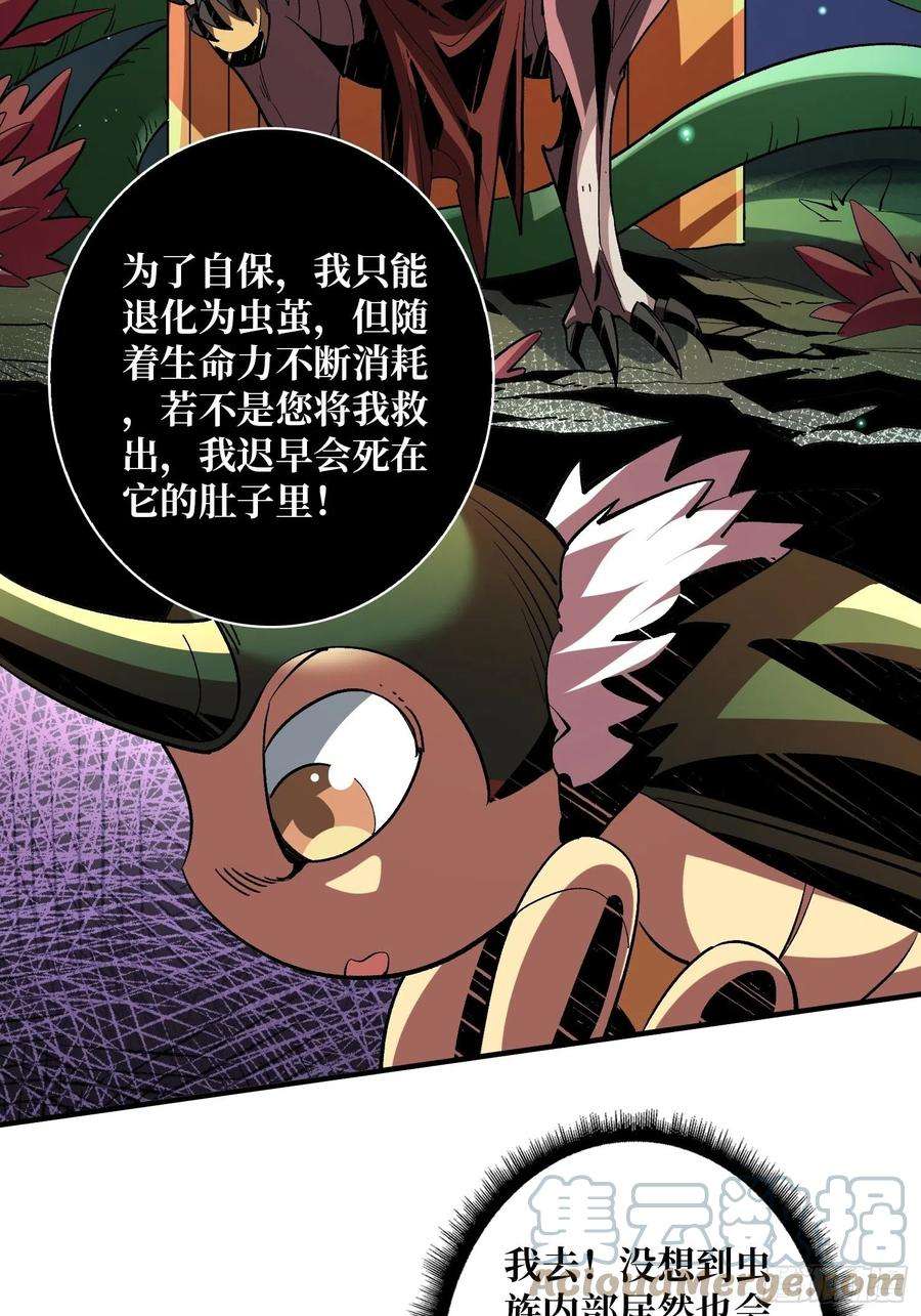 开局就有王者账号吐出一个小可爱