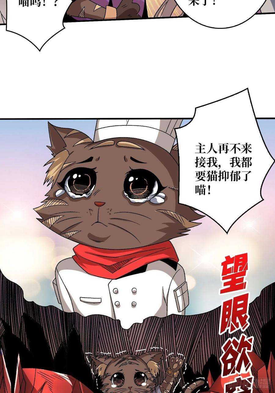 开局就有王者账号还不如一只喵？