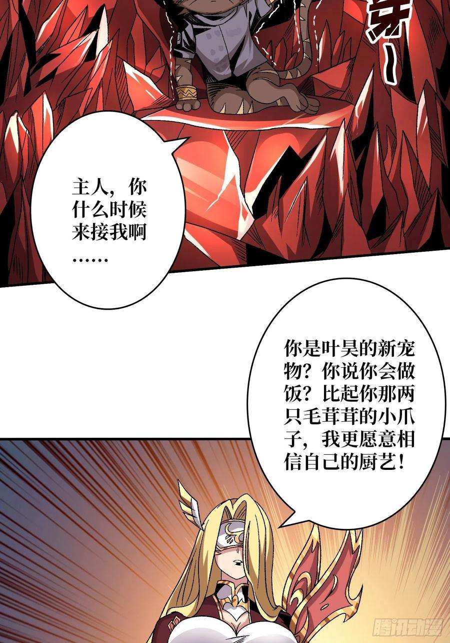 开局就有王者账号还不如一只喵？